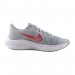 Кроссовки Nike Zoom Winflo 8