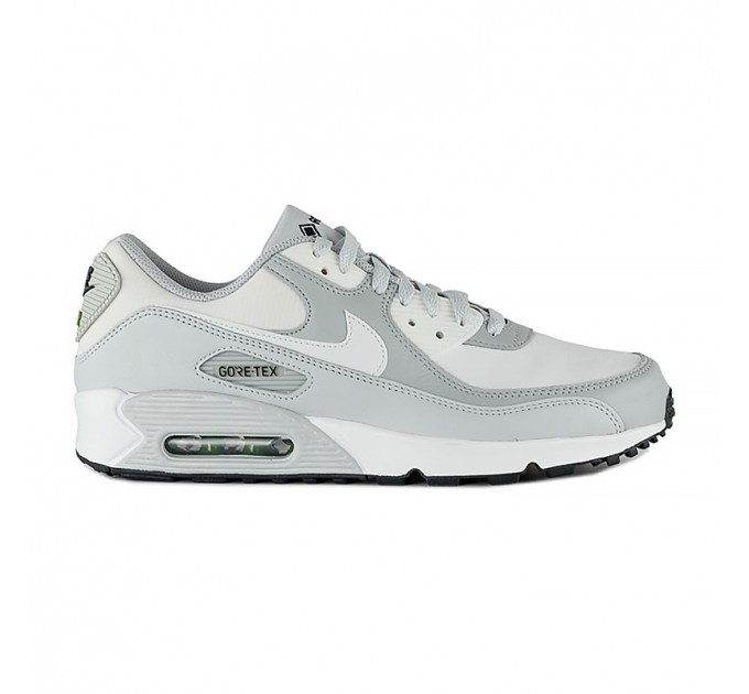Кроссовки Nike Air Max 90 Gtx DJ9779-003