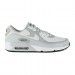 Кроссовки Nike Air Max 90 Gtx DJ9779-003