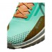 Кроссовки Nike W React Pegasus Trail 4 Gtx DJ7929-301