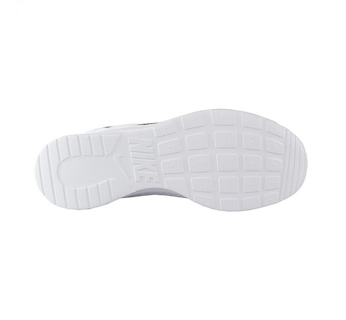 Кроссовки Nike Tanjun DJ6258-100