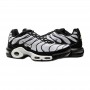 Кроссовки Nike Air Max Plus