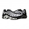 Кроссовки Nike Air Max Plus