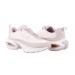 Кросівки жіночі Nike Air Max Portal (HF3053-004)