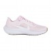 Кроссовки Nike Air Zoom Pegasus 40 DV3854-600