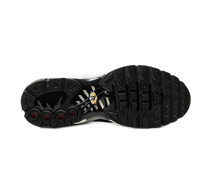 Кроссовки Nike Air Max Plus