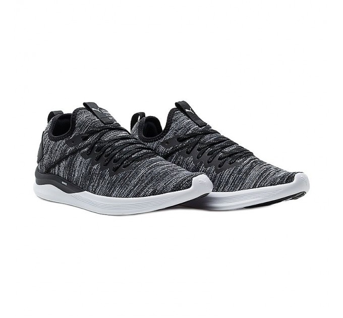 Кроссовки Puma IGNITE FLASH EVOKNIT