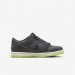 Кроссовки Nike Dunk Low Halloween (2022) (Gs) Iron Grey DQ6215-001