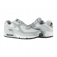 Кроссовки Nike Air Max 90 Gtx DJ9779-003