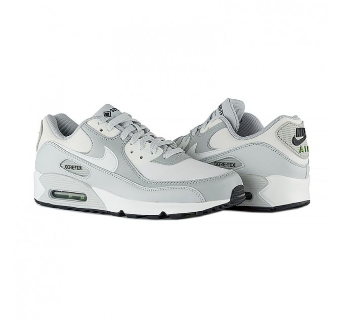 Кроссовки Nike Air Max 90 Gtx DJ9779-003