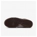 Кроссовки женские Nike Dunk Low Orewood Mini Swoosh Brown/White (IO4244-102)