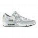 Кроссовки Nike Air Max 90 Gtx DJ9779-003