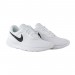 Кроссовки Nike Tanjun DJ6258-100