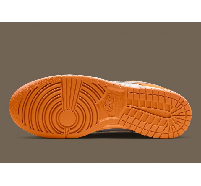 Кросівки чоловічі Nike Dunk Low (DR0156-800)