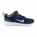 Кросівки Nike Revolution 6 Nn DD1094-400