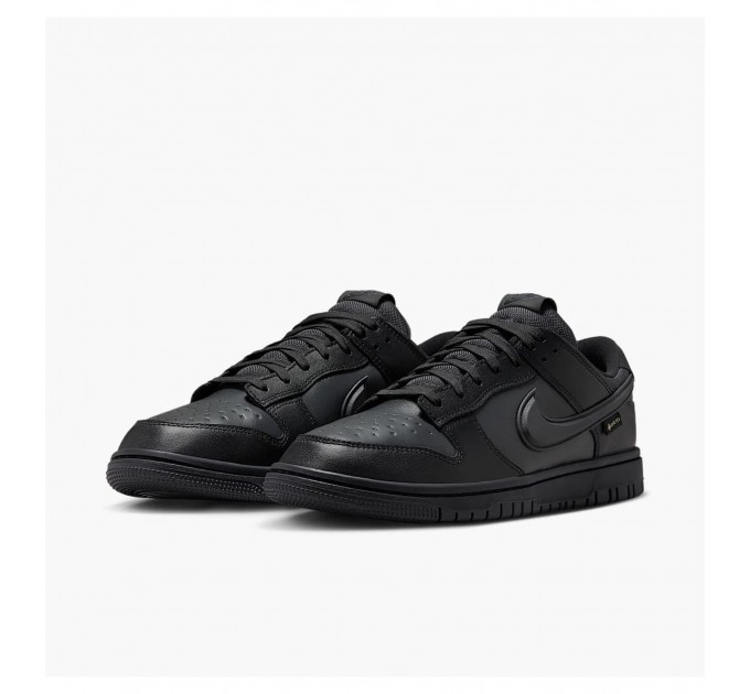 Кросівки чоловічі Nike Dunk Low Gore-Tex (HQ2053-001)