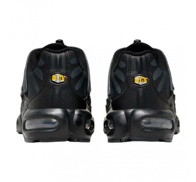 Кроссовки Nike Air Max Plus FZ2770-001