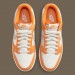 Кросівки чоловічі Nike Dunk Low (DR0156-800)