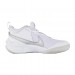 Кроссовки Nike Team Hustle D 10 (Gs) CW6735-100