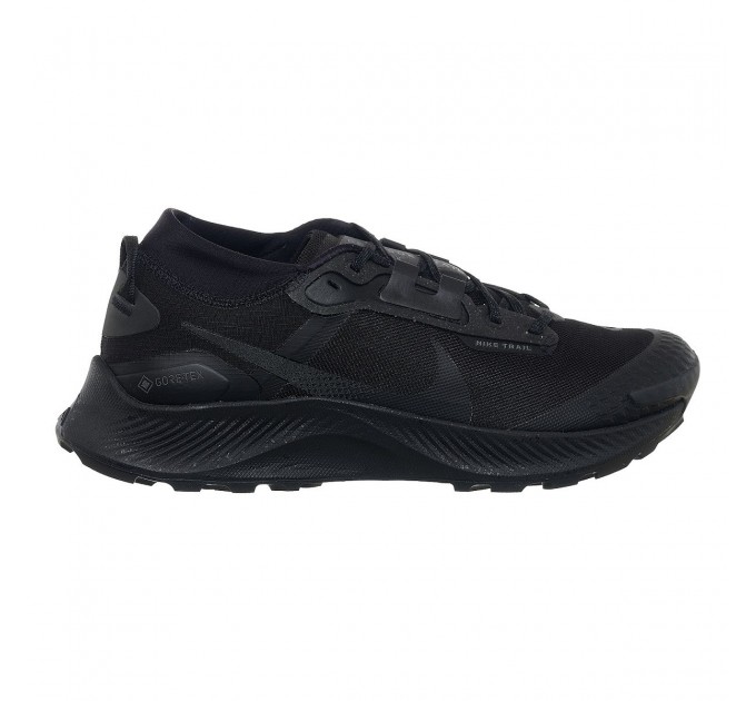 Кросівки чоловічі Nike Pegasus Trail 3 Gore-Tex (DC8793-001)