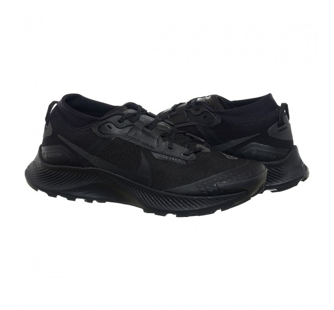 Кросівки чоловічі Nike Pegasus Trail 3 Gore-Tex (DC8793-001)
