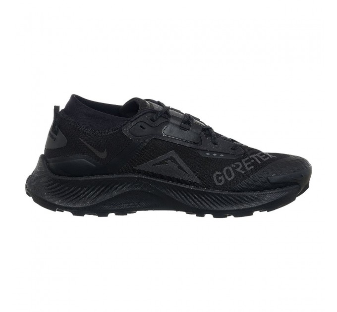 Кросівки чоловічі Nike Pegasus Trail 3 Gore-Tex (DC8793-001)