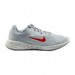 Кросівки Nike Revolution 6 Nn DC3729-010