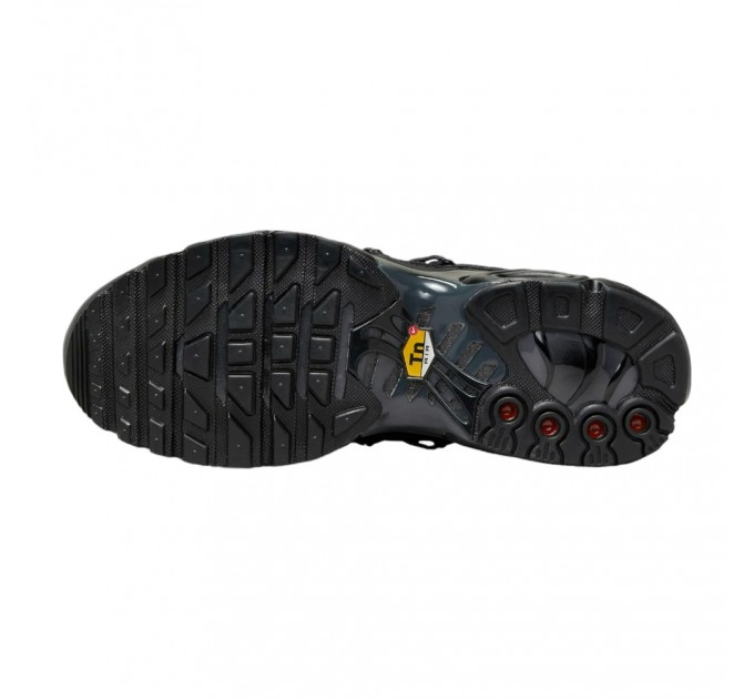 Кроссовки Nike Air Max Plus FZ2770-001