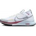 Кроссовки Nike React Pegasus Trail 4 Gore-Tex DJ7929-102