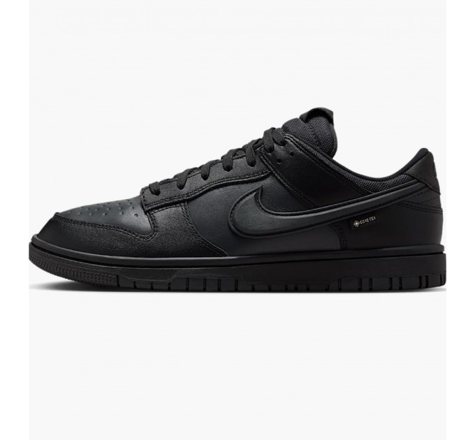 Кросівки чоловічі Nike Dunk Low Gore-Tex (HQ2053-001)