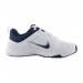 Кроссовки Nike Defy All Day