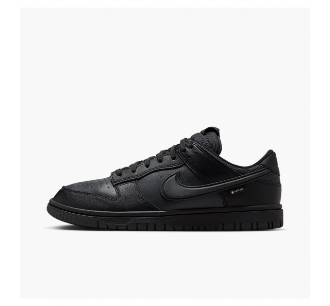 Кроссовки мужские Nike Dunk Low Gore-Tex (HQ2053-001)