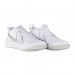 Кроссовки Nike Team Hustle D 10 (Gs) CW6735-100