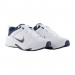 Кросівки чоловічі Nike Defy All Day (DJ1196-100)