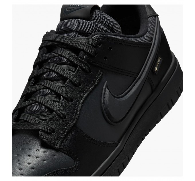 Кроссовки мужские Nike Dunk Low Gore-Tex (HQ2053-001)