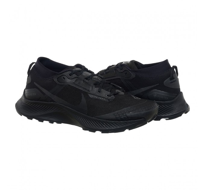 Кросівки чоловічі Nike Pegasus Trail 3 Gore-Tex (DC8793-001)