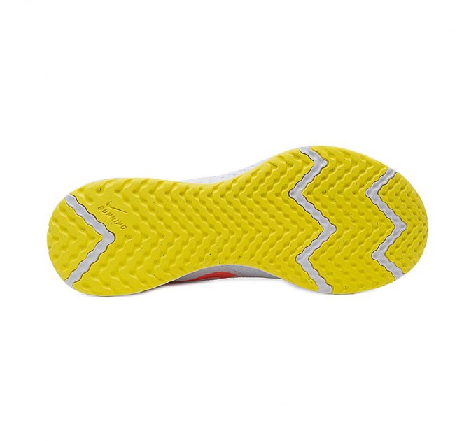 Кроссовки Nike WMNS REVOLUTION 5