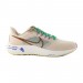 Кросівки Nike Air Zoom Pegasus 39 Prm DV8922-100