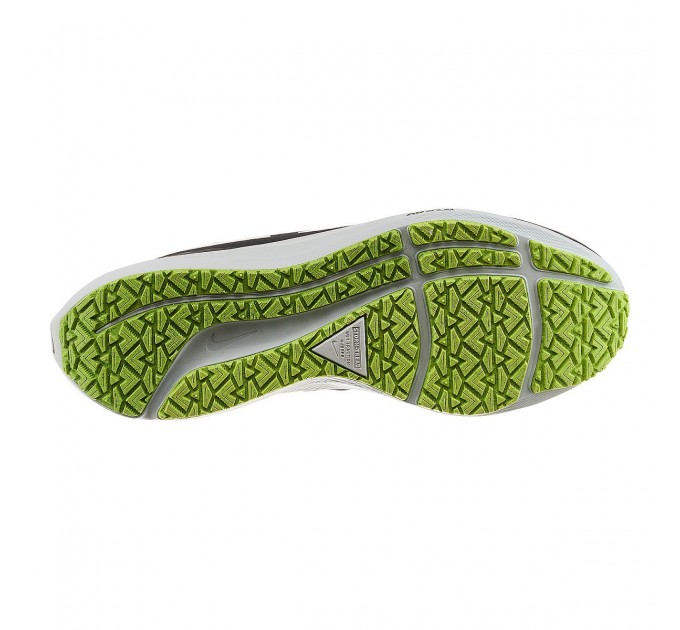 Кросівки чоловічі Nike Air Zoom Pegasus 39 (DO7625-002)