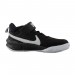 Кроссовки Nike Team Hustle D 10 (Ps)