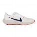 Кросівки Nike Air Zoom Pegasus 40 DV3853-100