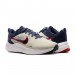 Кросівки Nike Downshifter 12 DD9293-012