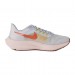 Кроссовки Nike Air Zoom Pegasus 39 DH4072-501