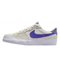 Кроссовки Nike Sb Zoom Pogo Plus DV5469-003
