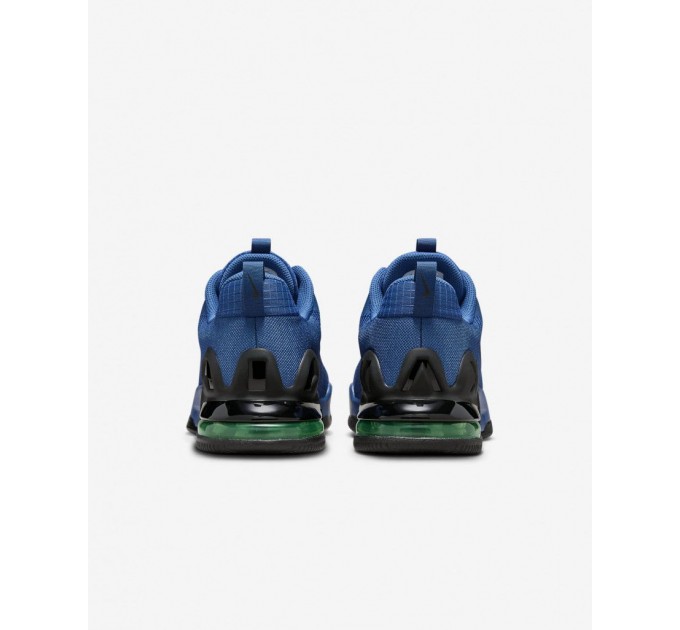 Кросівки Nike M Air Max Alpha Trainer 5 DM0829-403