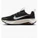 Кроссовки мужские Nike Wildhorse 10 (FV2338-001)
