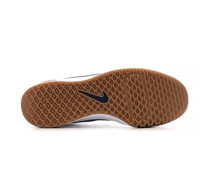 Кросівки Nike Zoom Court Lite 3 DV3258-102