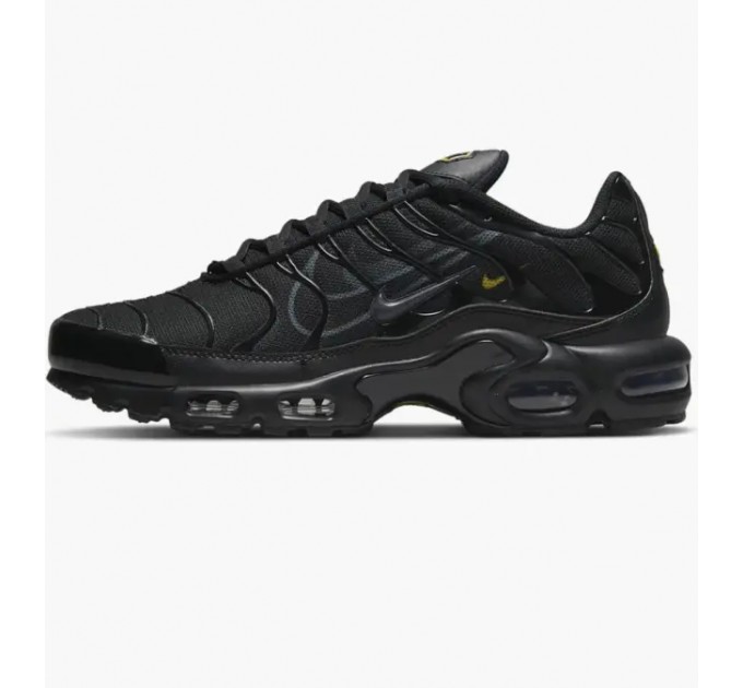 Кроссовки Nike Air Max Plus DX2652-001