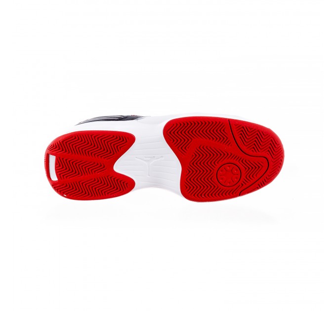Кроссовки мужские Jordan Max Aura 6 (FQ8298-006)