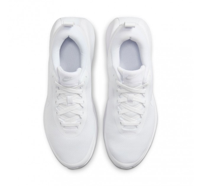 Кроссовки мужские Nike Promina (FV5285-100)